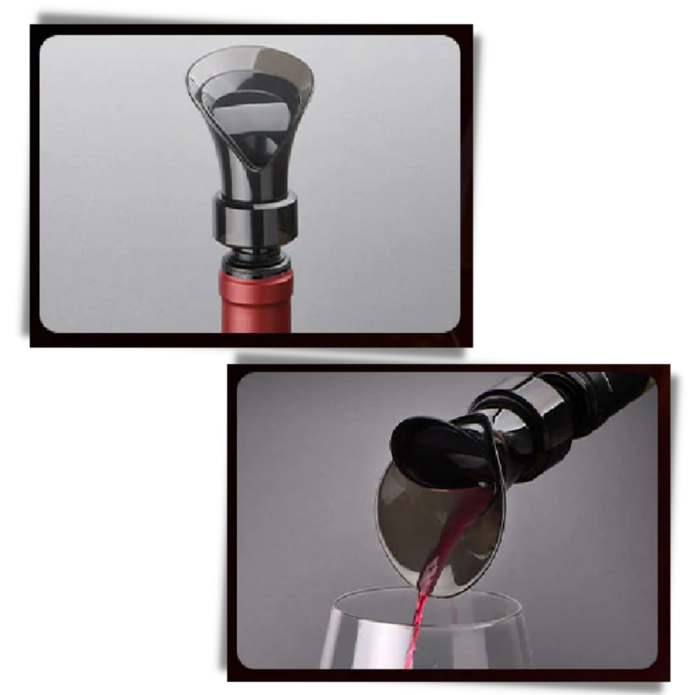 Décanteur de vin 2-en-1 avec bouchon