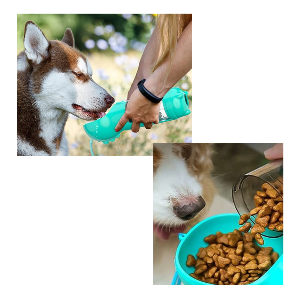 Bouteille distributrice d'eau et de nourriture pour animaux