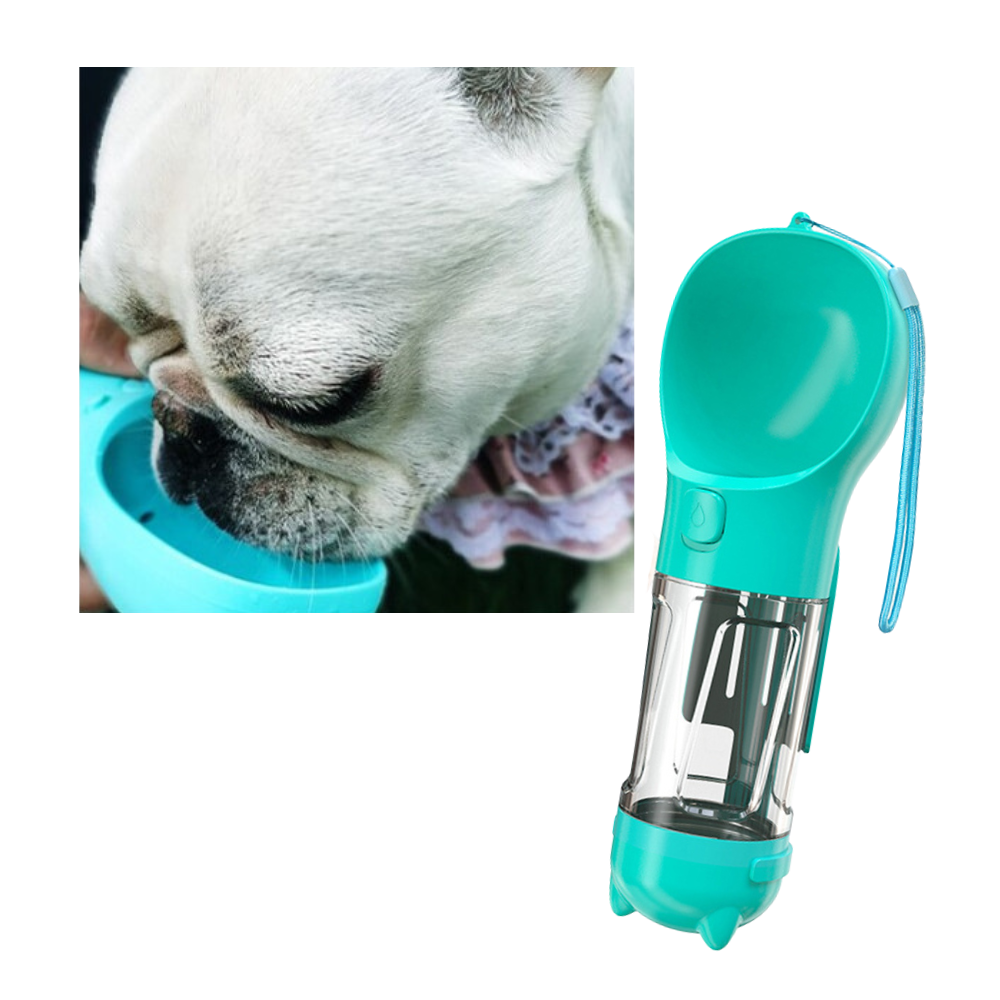 Bouteille distributrice d'eau et de nourriture pour animaux