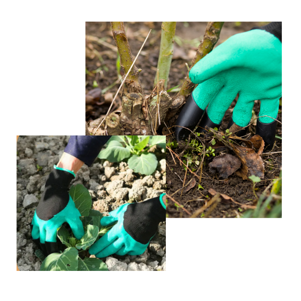 Gants de jardinage avec griffes