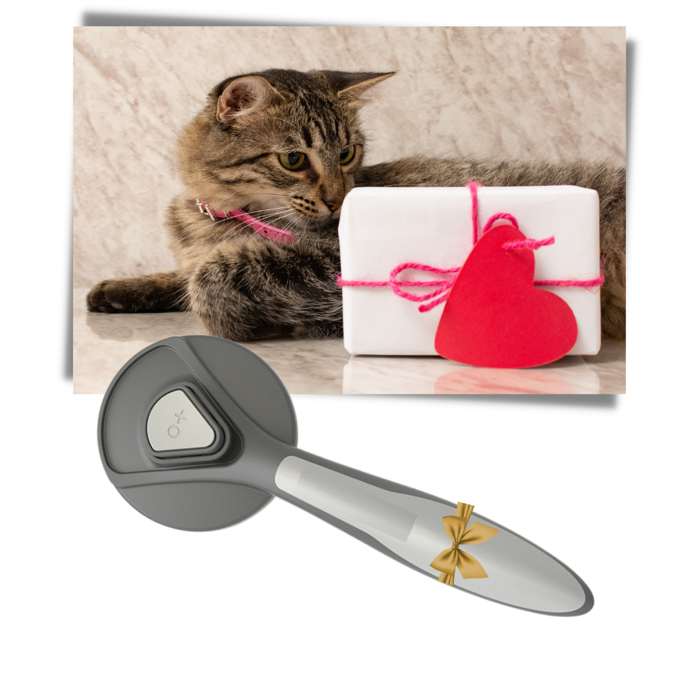 Brosse spéciale pour animaux de compagnie