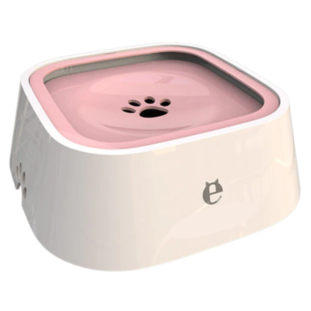 Bol d'eau flottant pour animaux