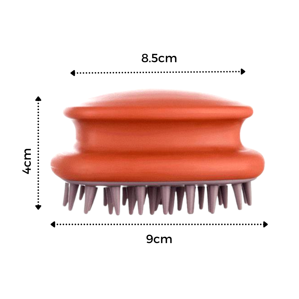 Brosse de massage du cuir chevelu