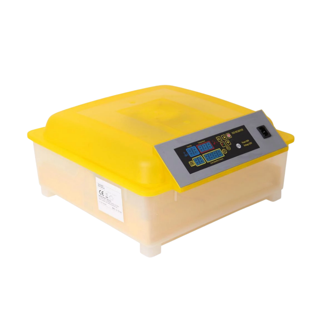 Incubateur automatique d'oeufs (48 oeufs)
