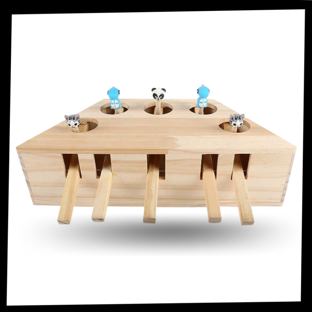 Jouet interactif en bois à 5 trous pour chat