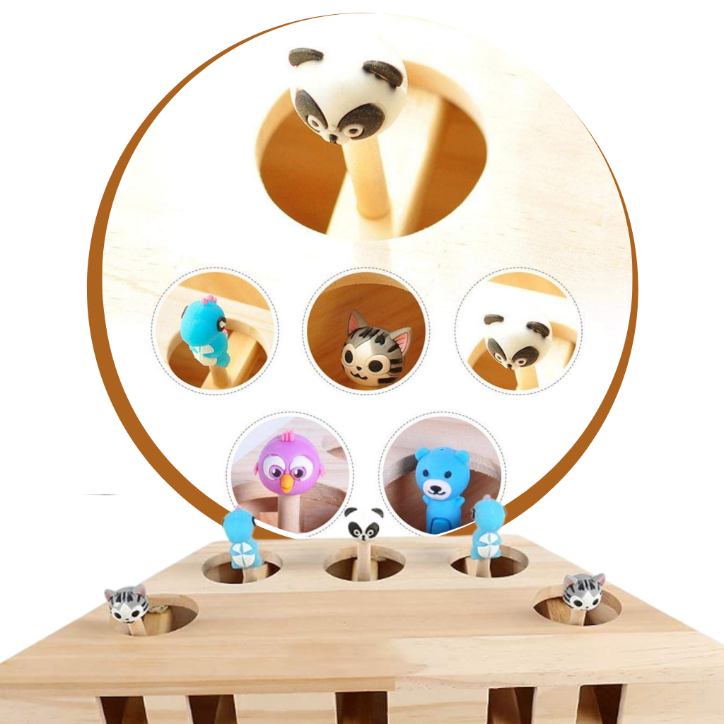 Jouet interactif en bois à 5 trous pour chat