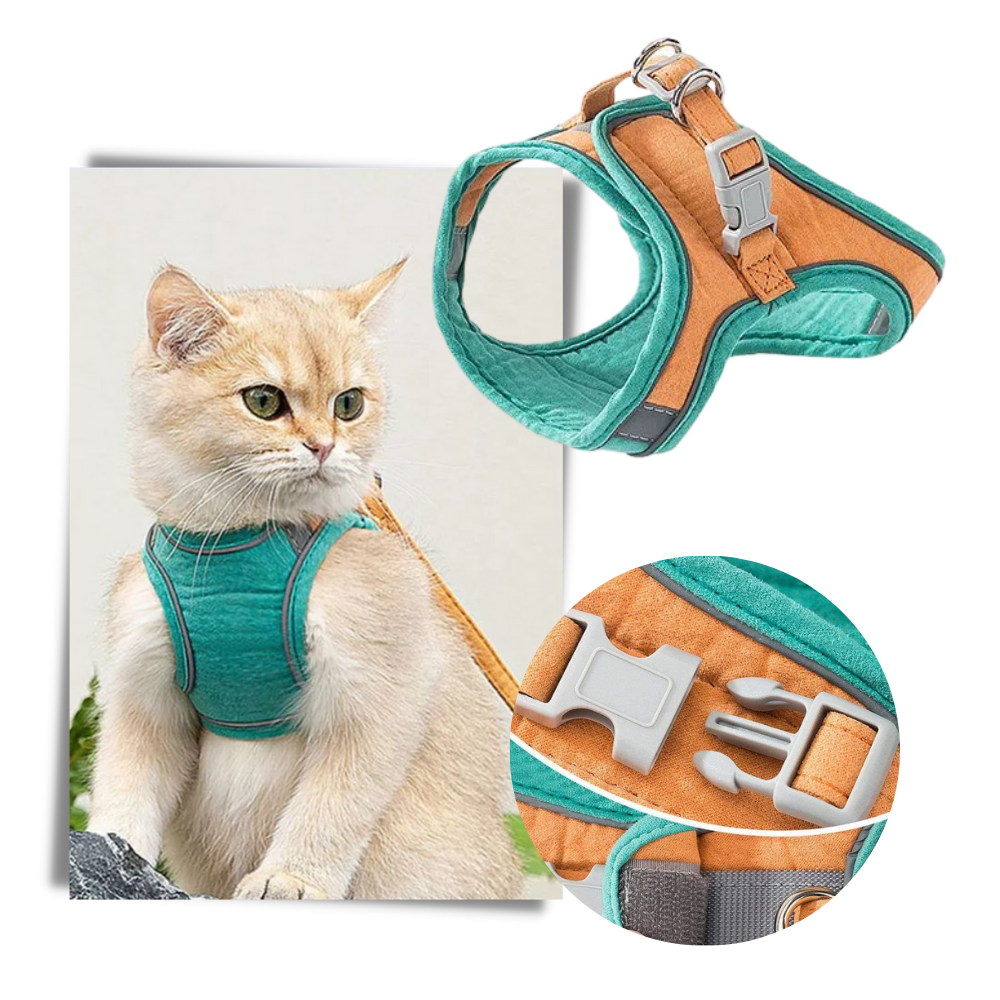 Ensemble harnais et laisse pour animaux
