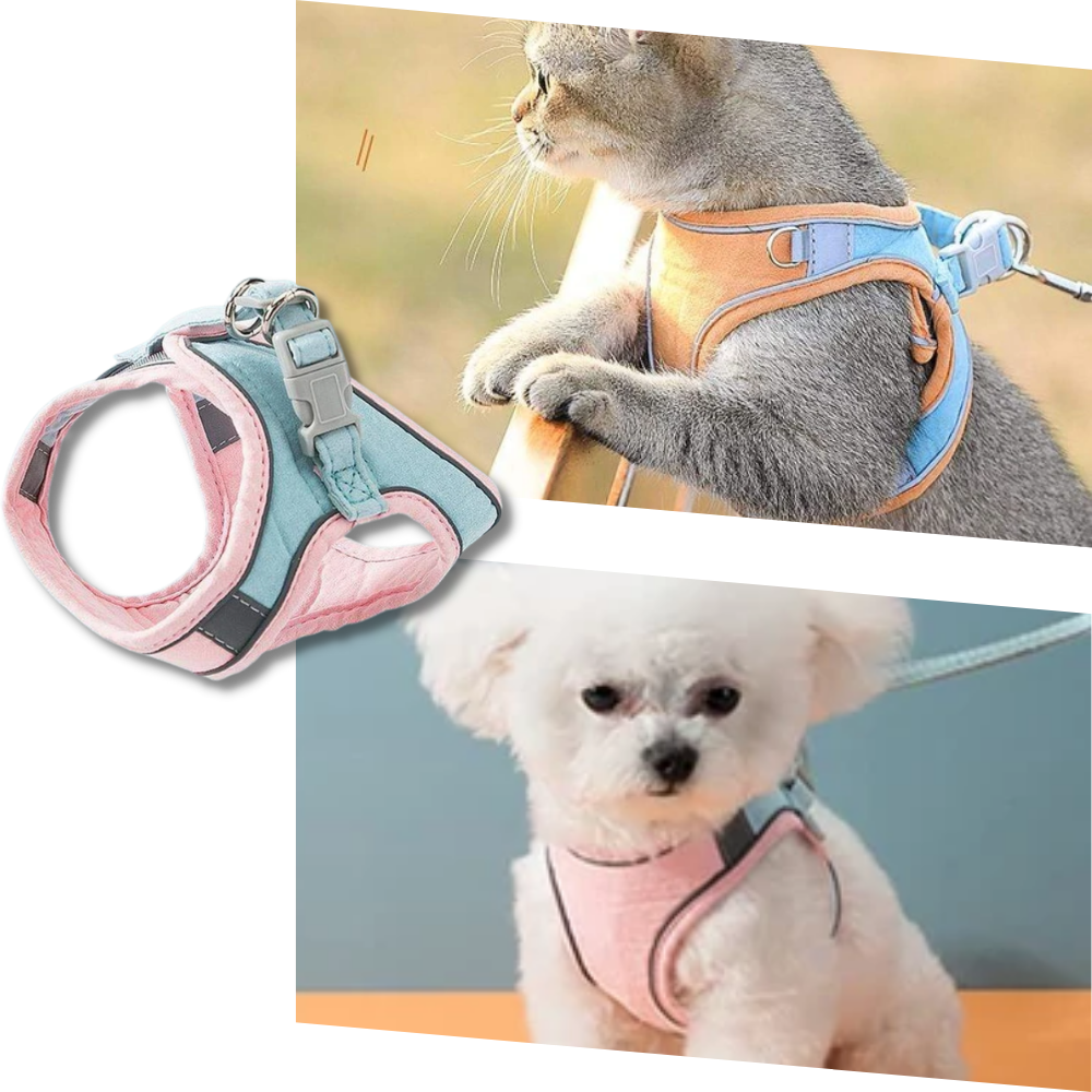 Ensemble harnais et laisse pour animaux