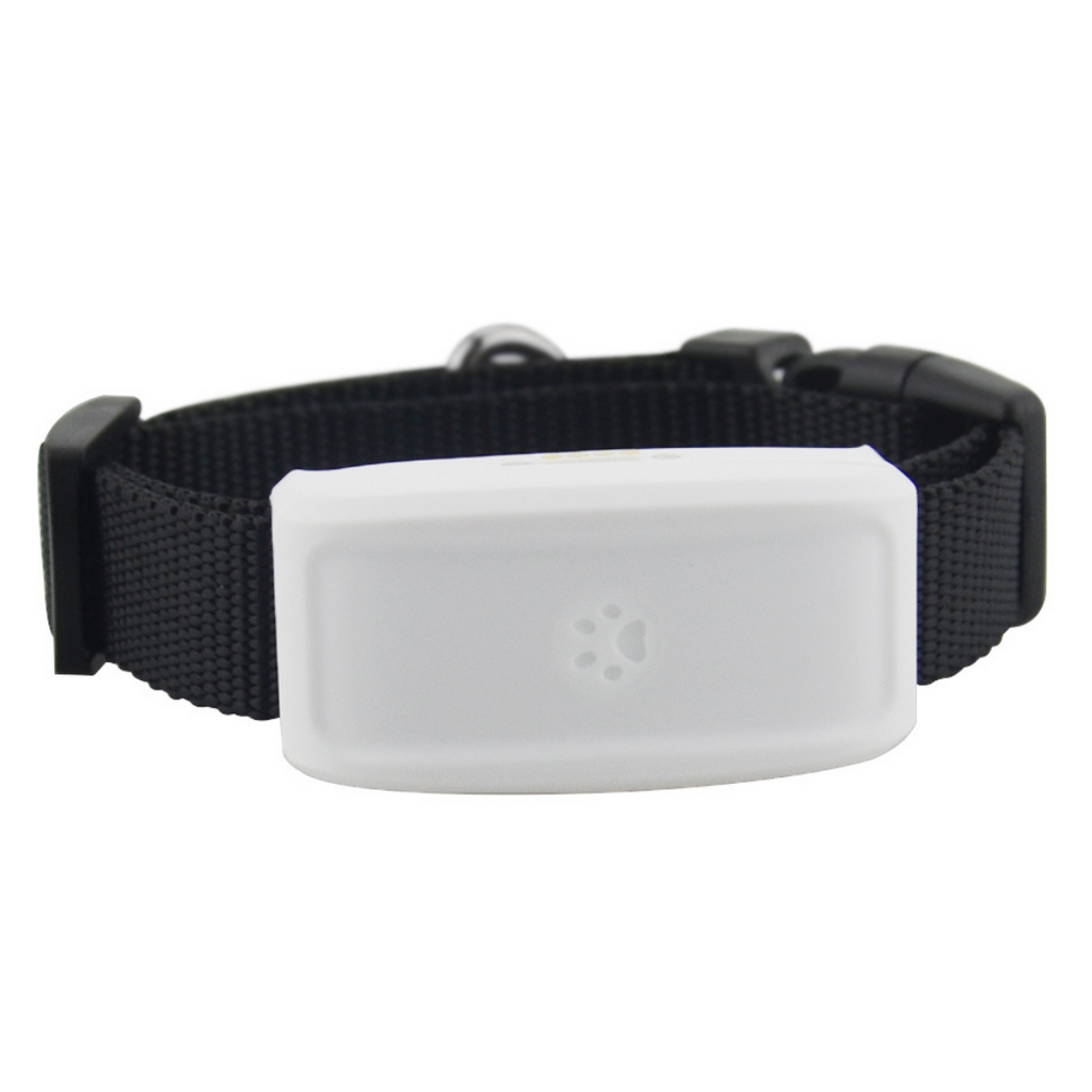 Collier de repérage gps pour animaux de compagnie