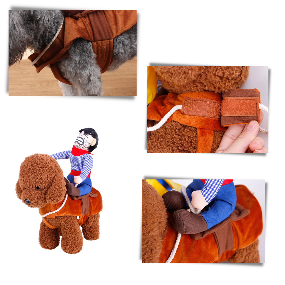 Déguisement de cow-boy pour chien