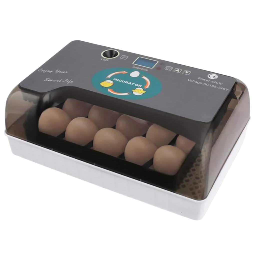 Incubateur automatique d'oeufs