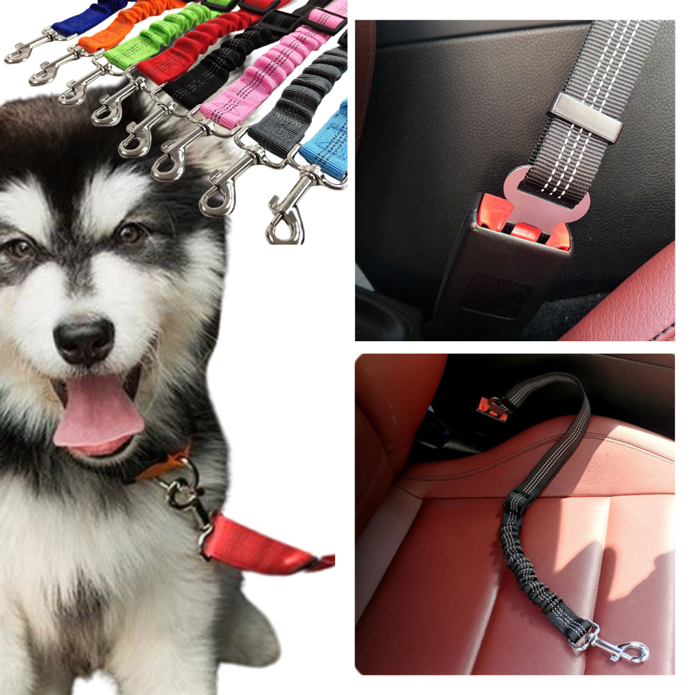 Ceinture de sécurité réglable pour chiens en voiture