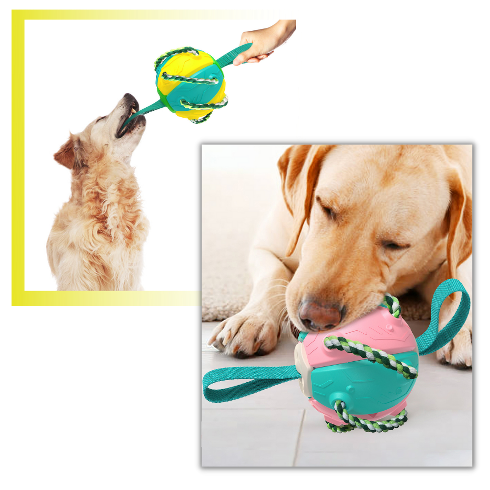 Ballon de frisbee pour chien