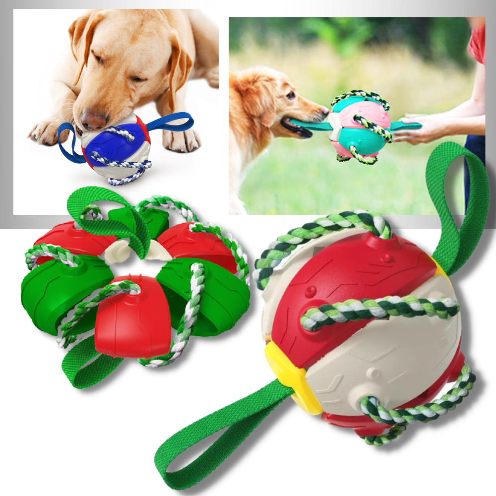 Ballon de frisbee pour chien