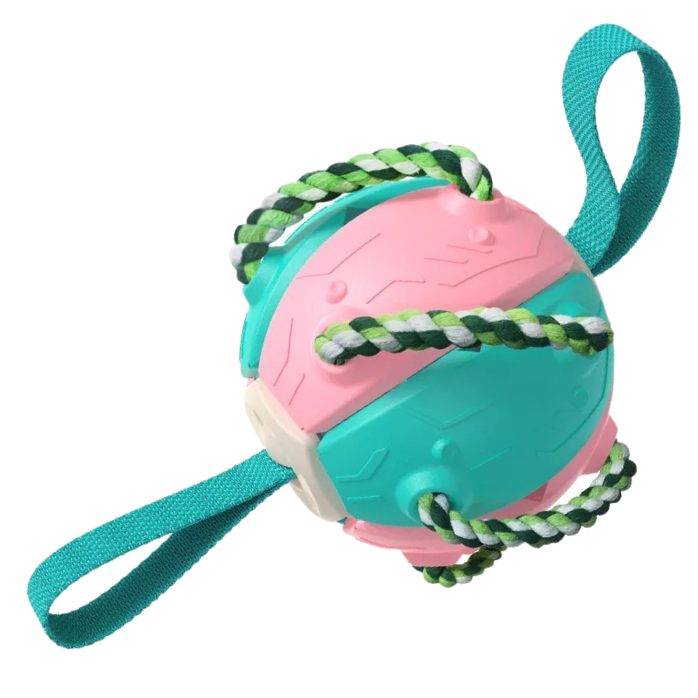 Ballon de frisbee pour chien