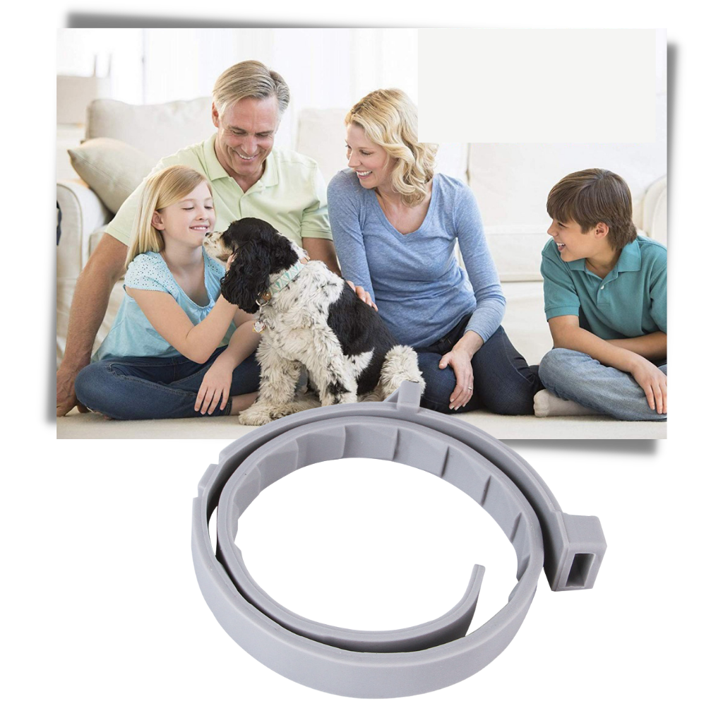 Collier anti-puces pour animaux de compagnie