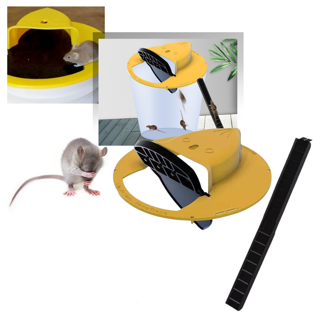 Piège à rats et souris par seau