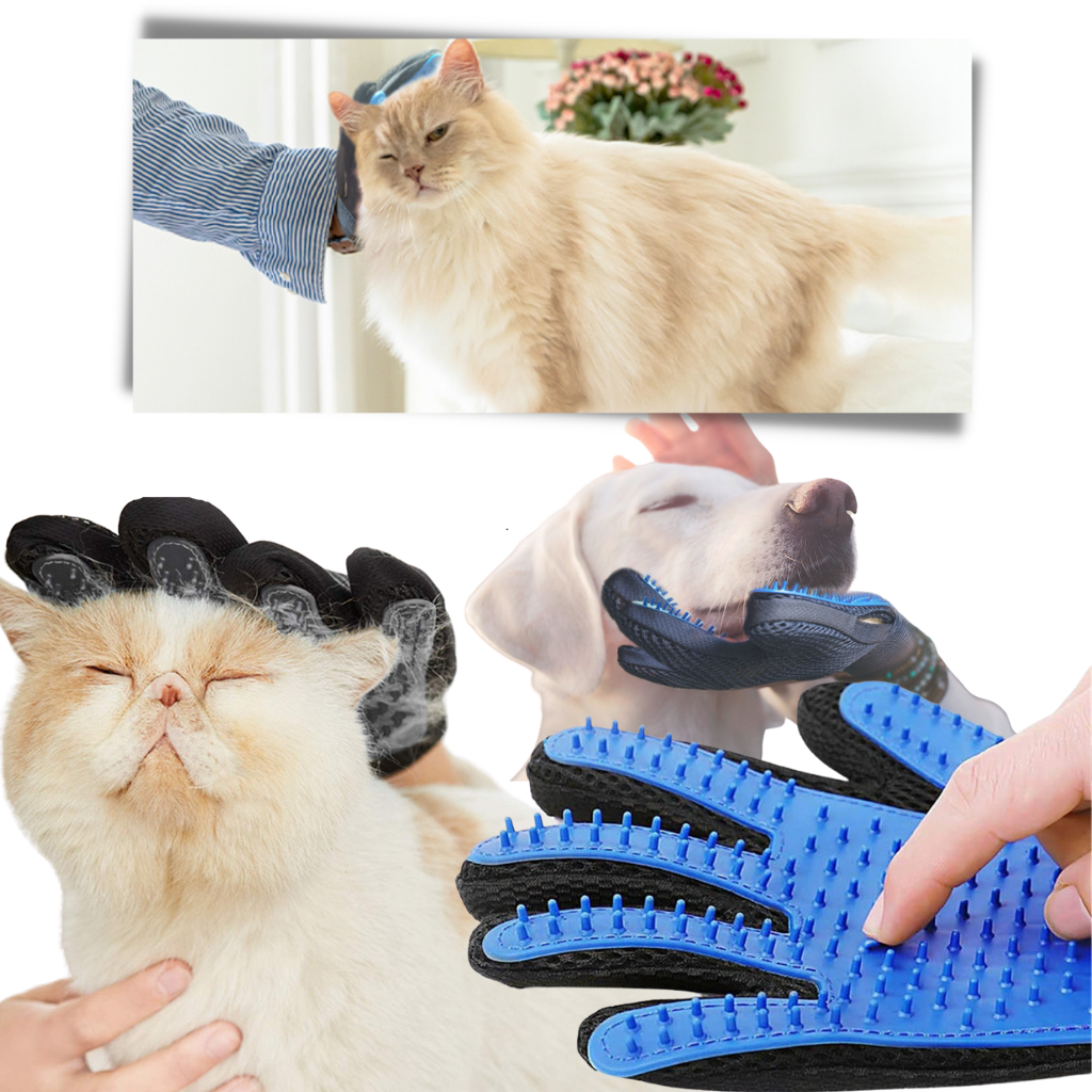 Gants de toilettage pour animaux (paire)