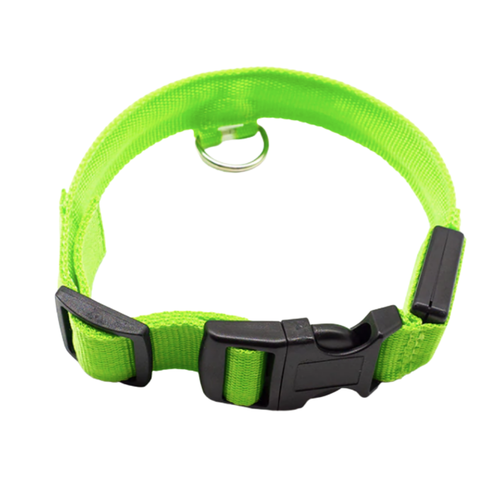 Collier lumineux pour animaux rechargeable par USB