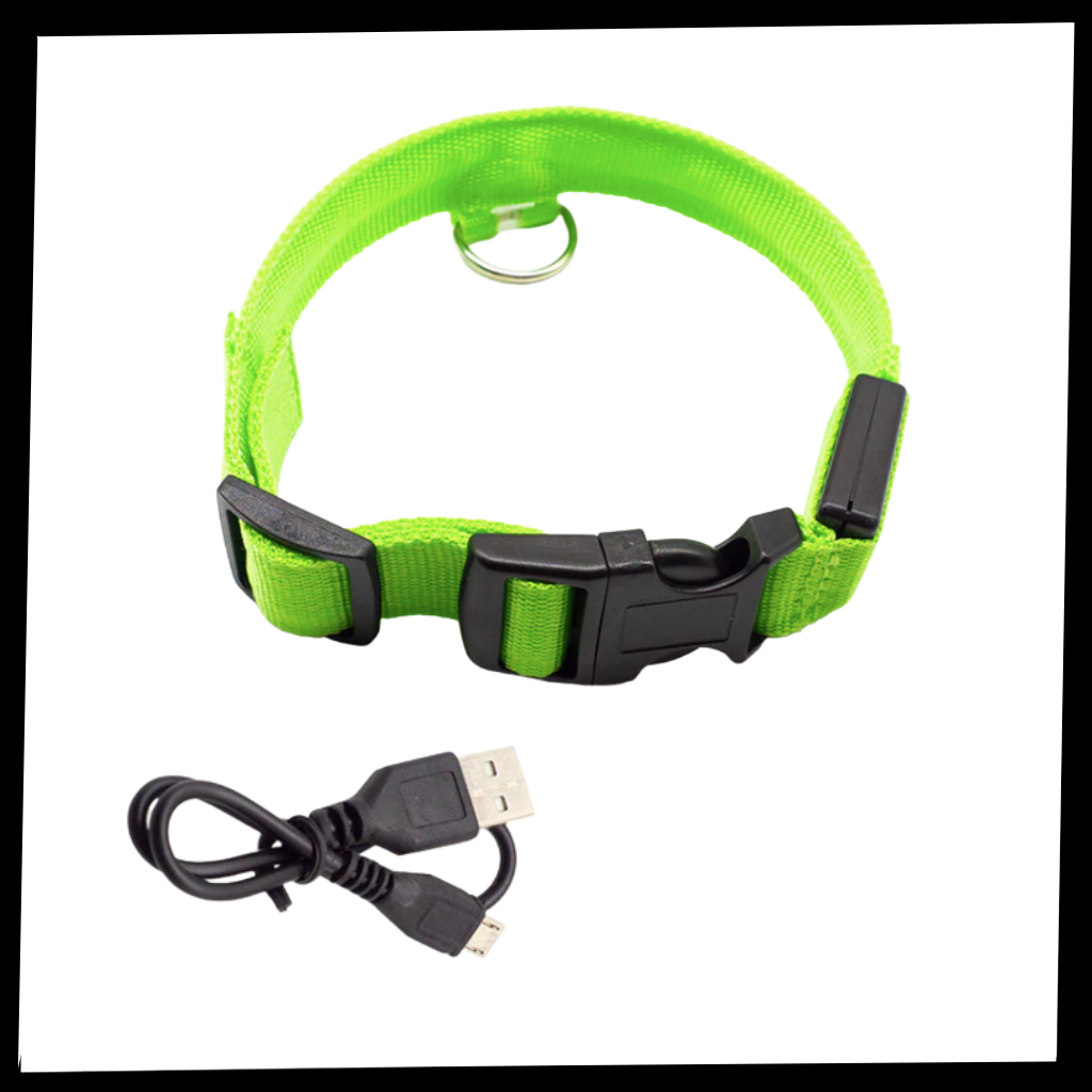 Collier lumineux pour animaux rechargeable par USB