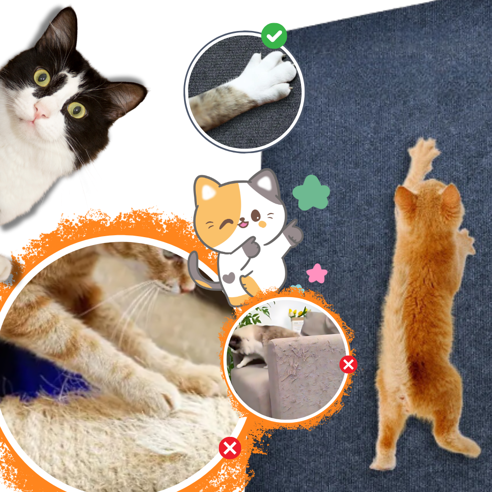 Griffoir mural adhésif pour chat