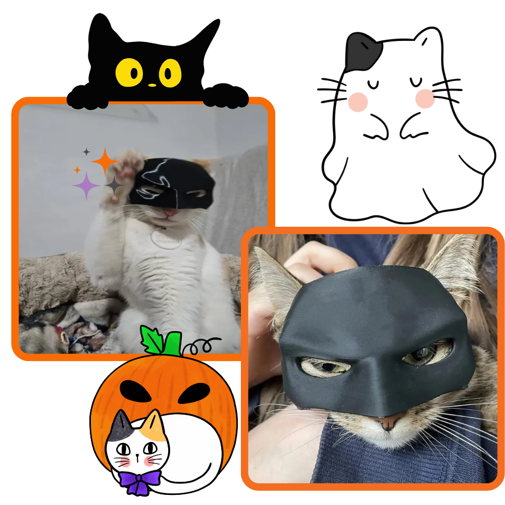 Irrésistible Masque Batman pour Chat