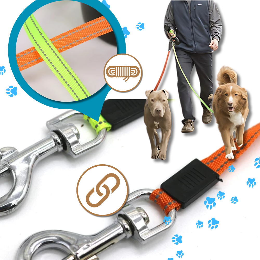 Laisse rétractable anti-enroulement pour chien