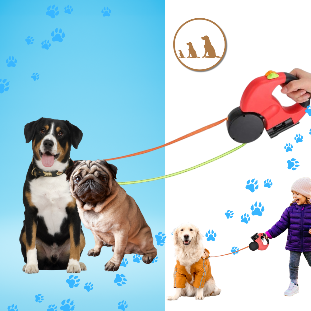 Laisse rétractable anti-enroulement pour chien