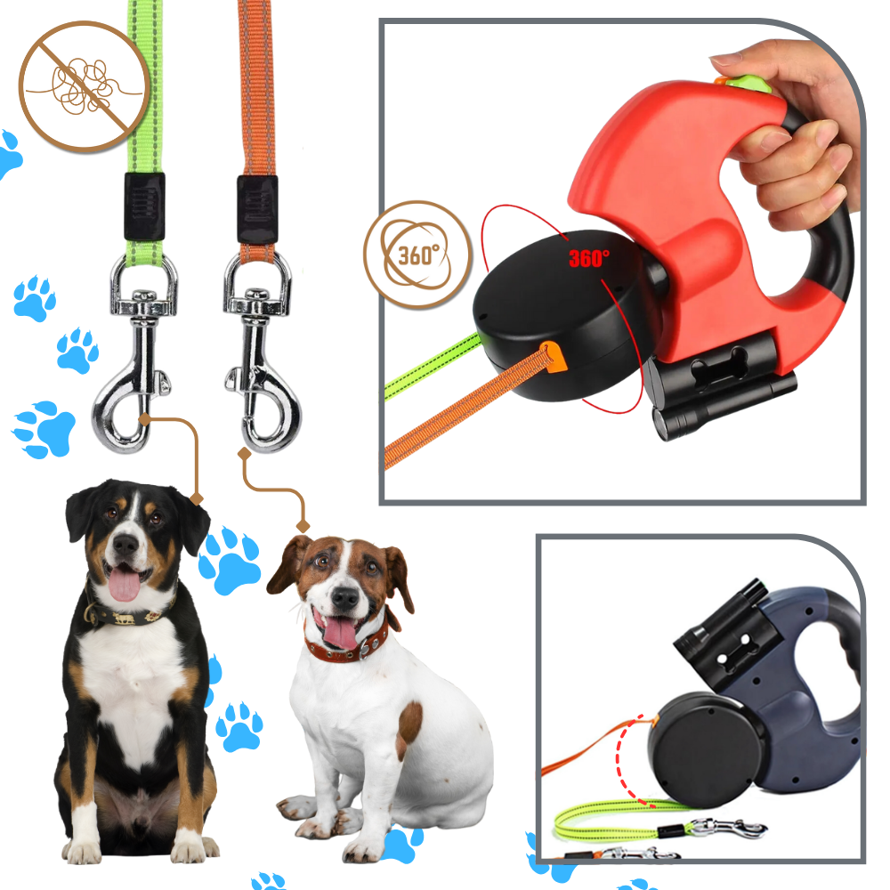 Laisse rétractable anti-enroulement pour chien
