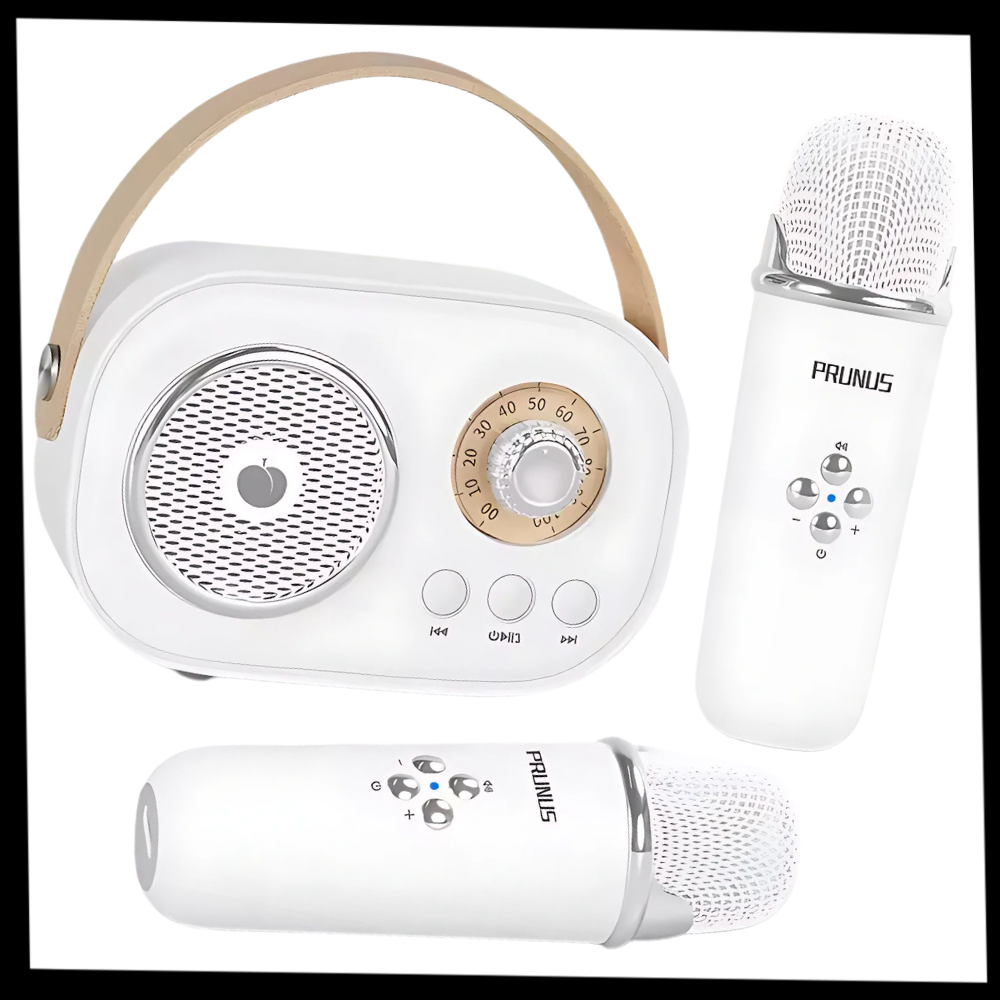 Mini Karaoké Bluetooth à double micro pour enfants