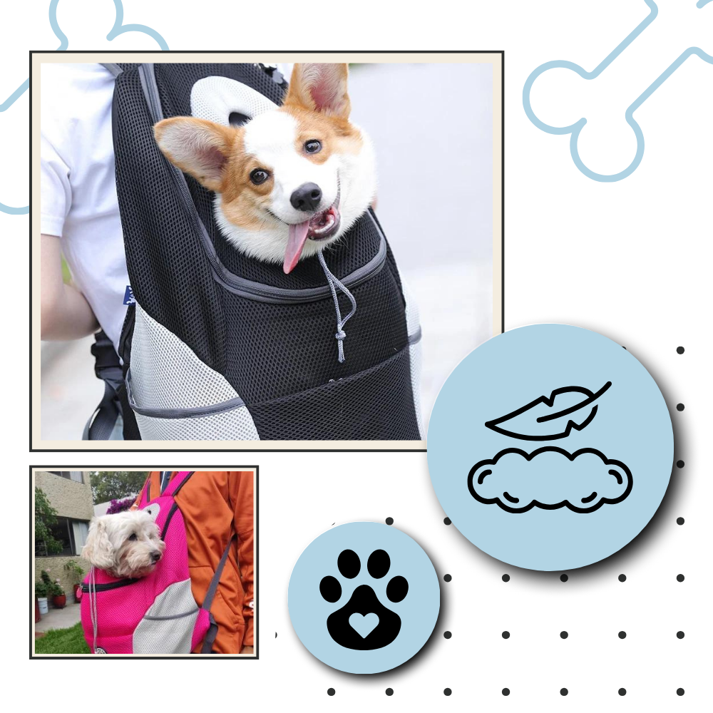 Sac à dos respirant de transport pour chien