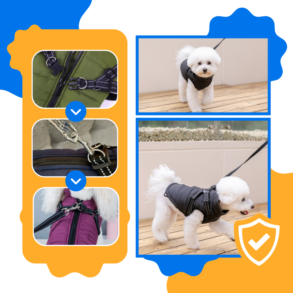 Veste d'hiver confortable pour chien