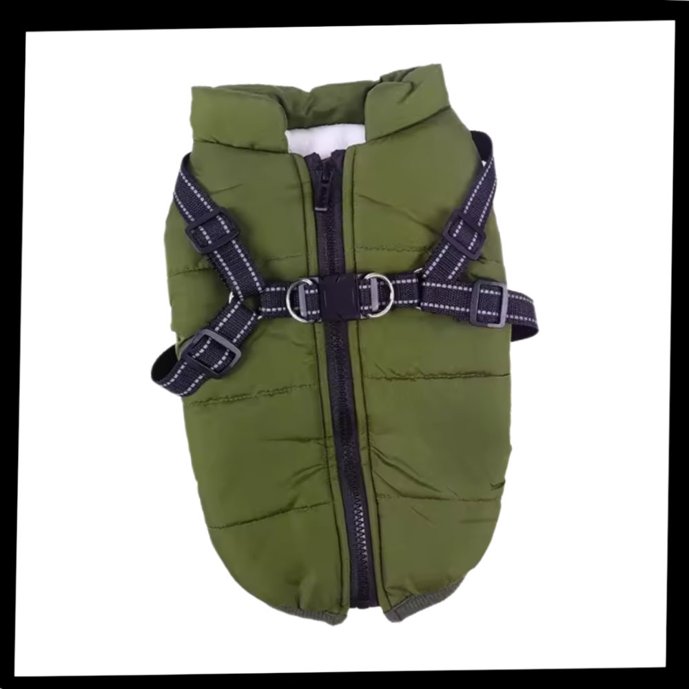 Veste d'hiver confortable pour chien