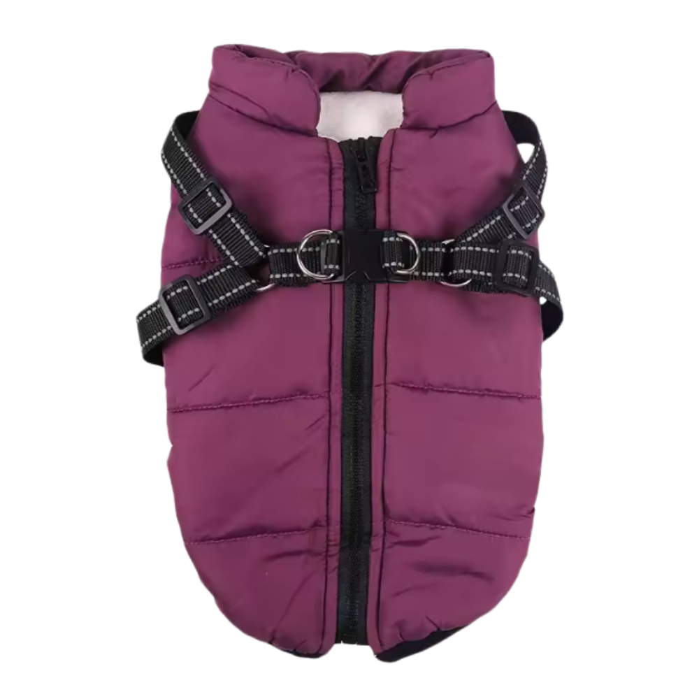 Veste d'hiver confortable pour chien