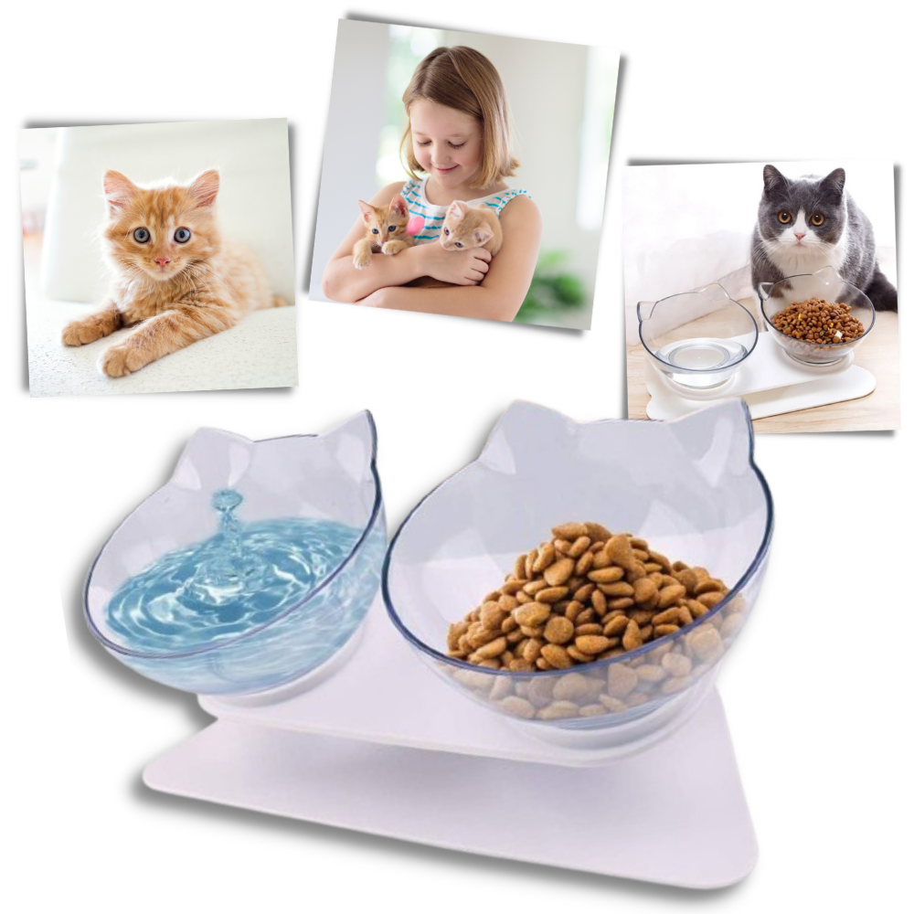 Bol confort surélevé pour chats