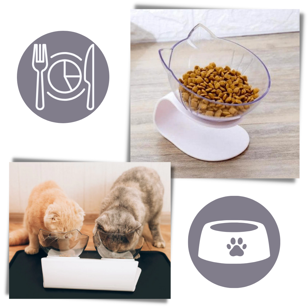 Bol confort surélevé pour chats