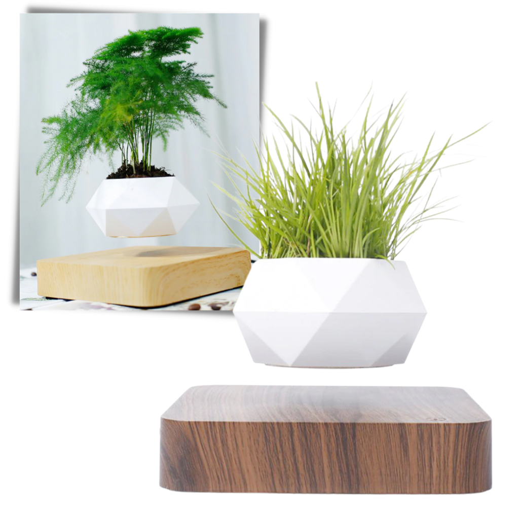 Pot à plante flottant en lévitation