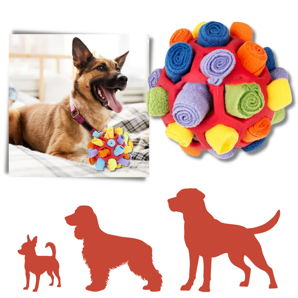 Balle à priser et de stimulation mental pour chiens