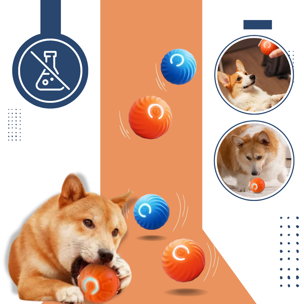Balle pour chien avec évitement d'obstacles