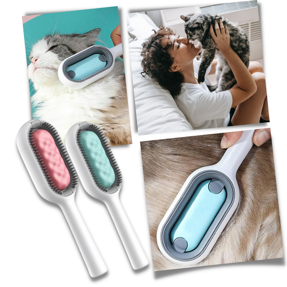 Brosse de toilettage avec réservoir d'eau