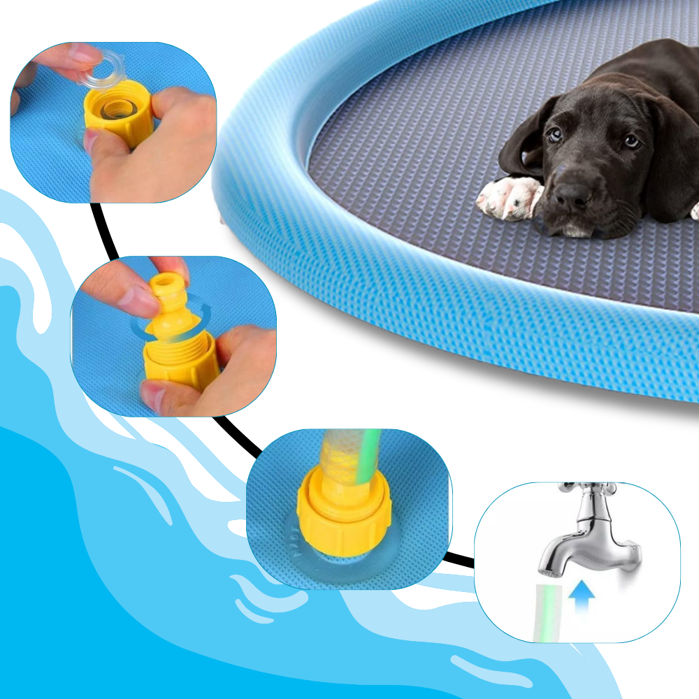 Pataugeoire portable pour chiens