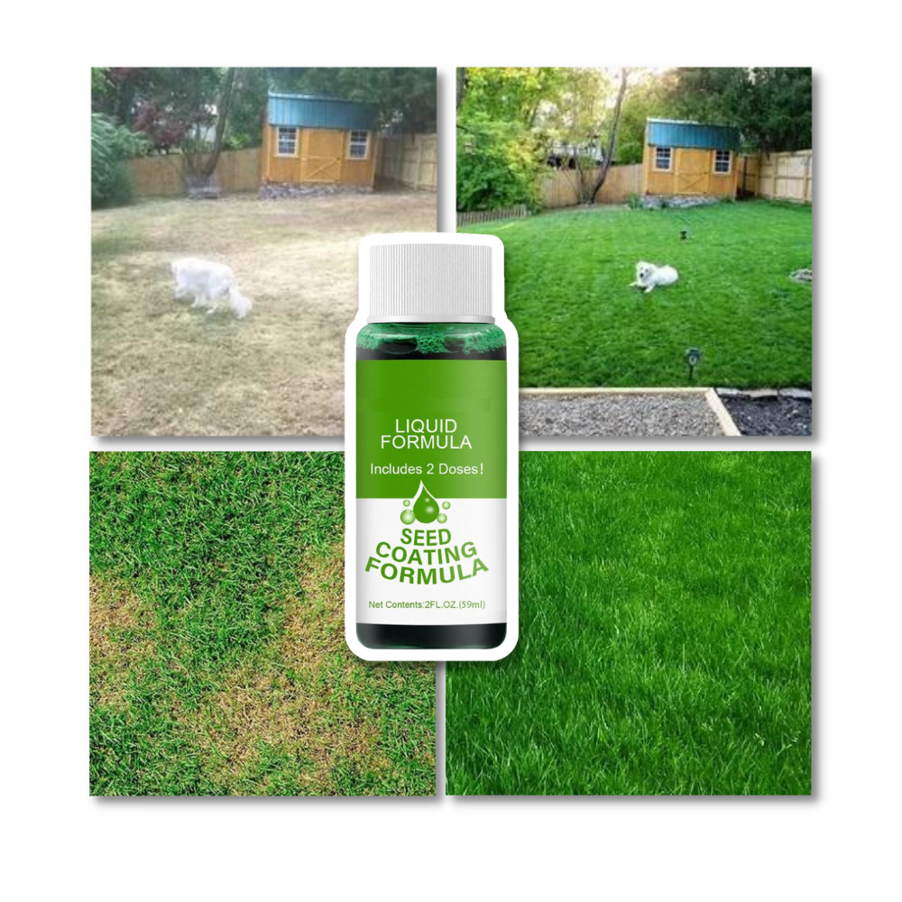 Spray revitalisant pour gazon