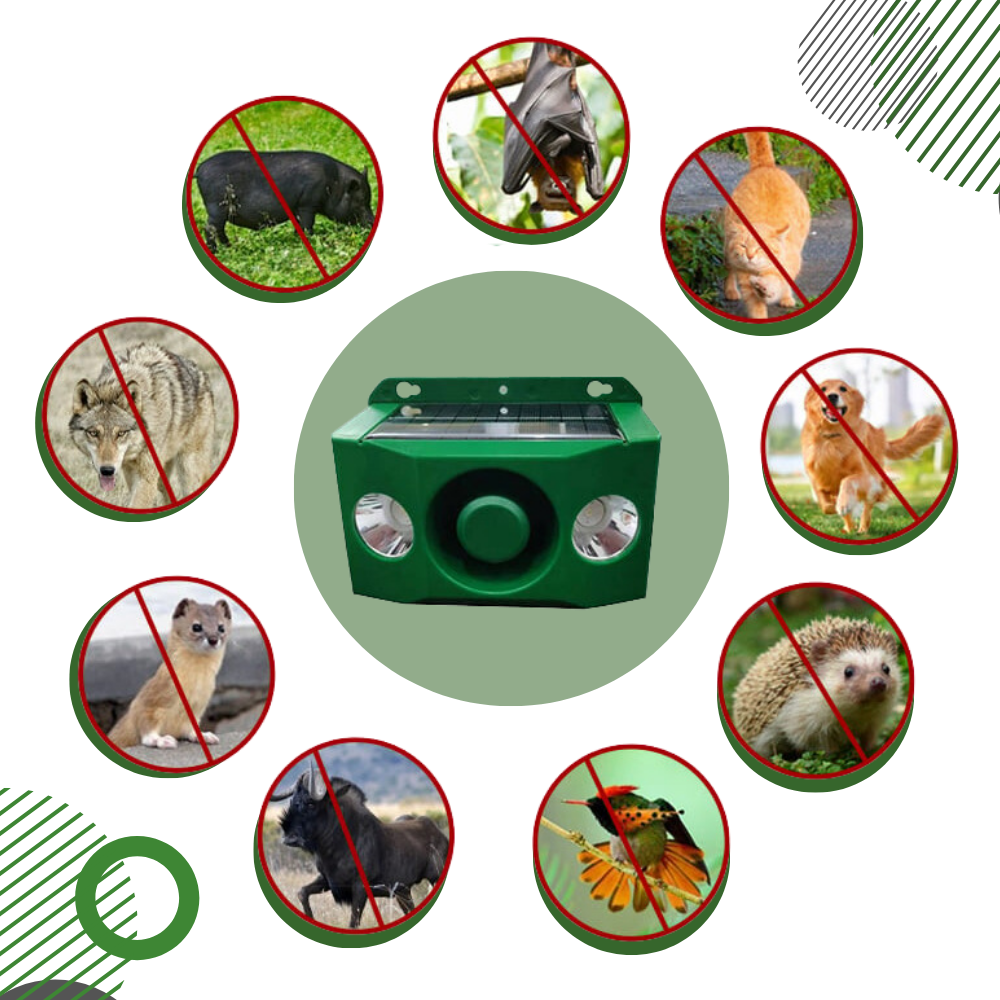 Répulsif solaire à détection de mouvement pour animaux