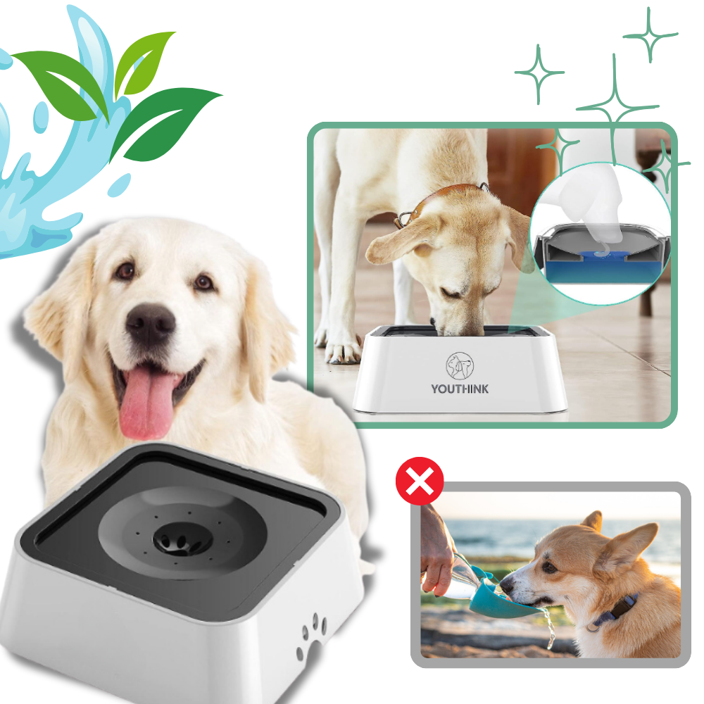 Gamelle anti-éclaboussures pour chiens