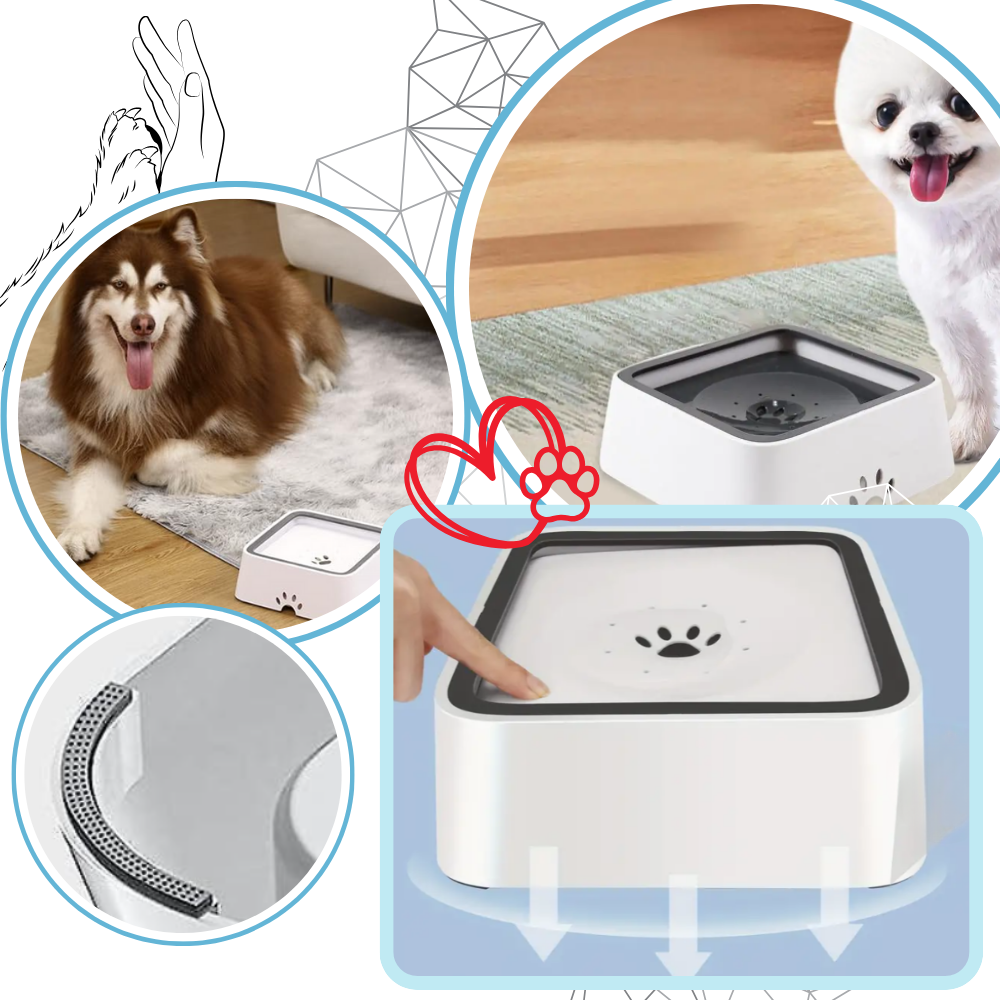 Gamelle anti-éclaboussures pour chiens