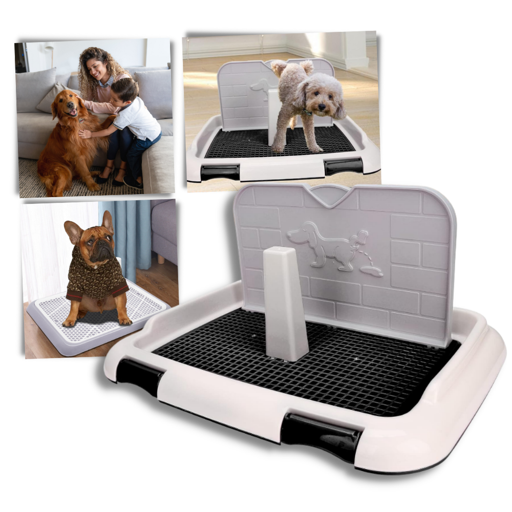 Tapis de propreté pour chien anti-éclaboussures