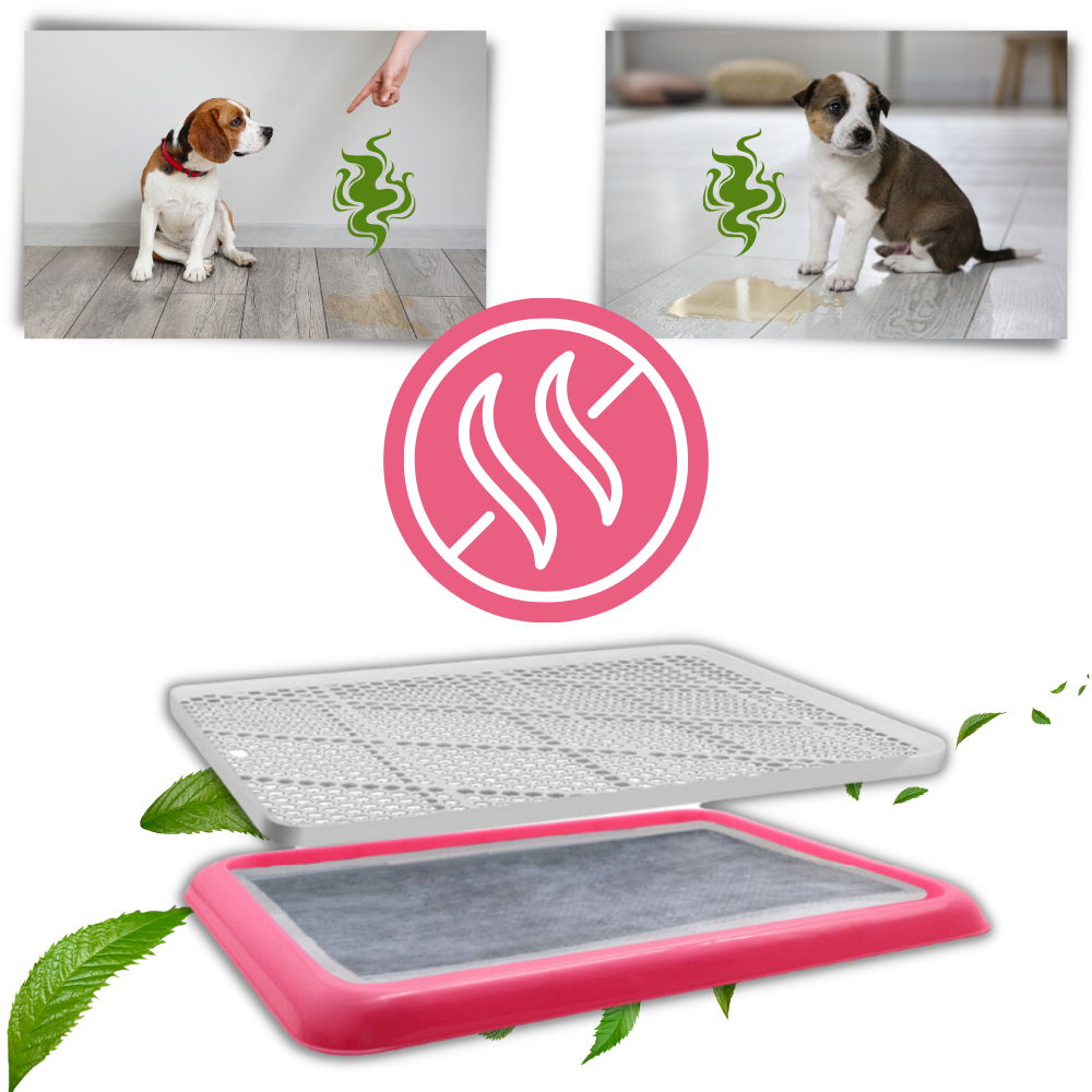 Tapis de propreté pour chien anti-éclaboussures