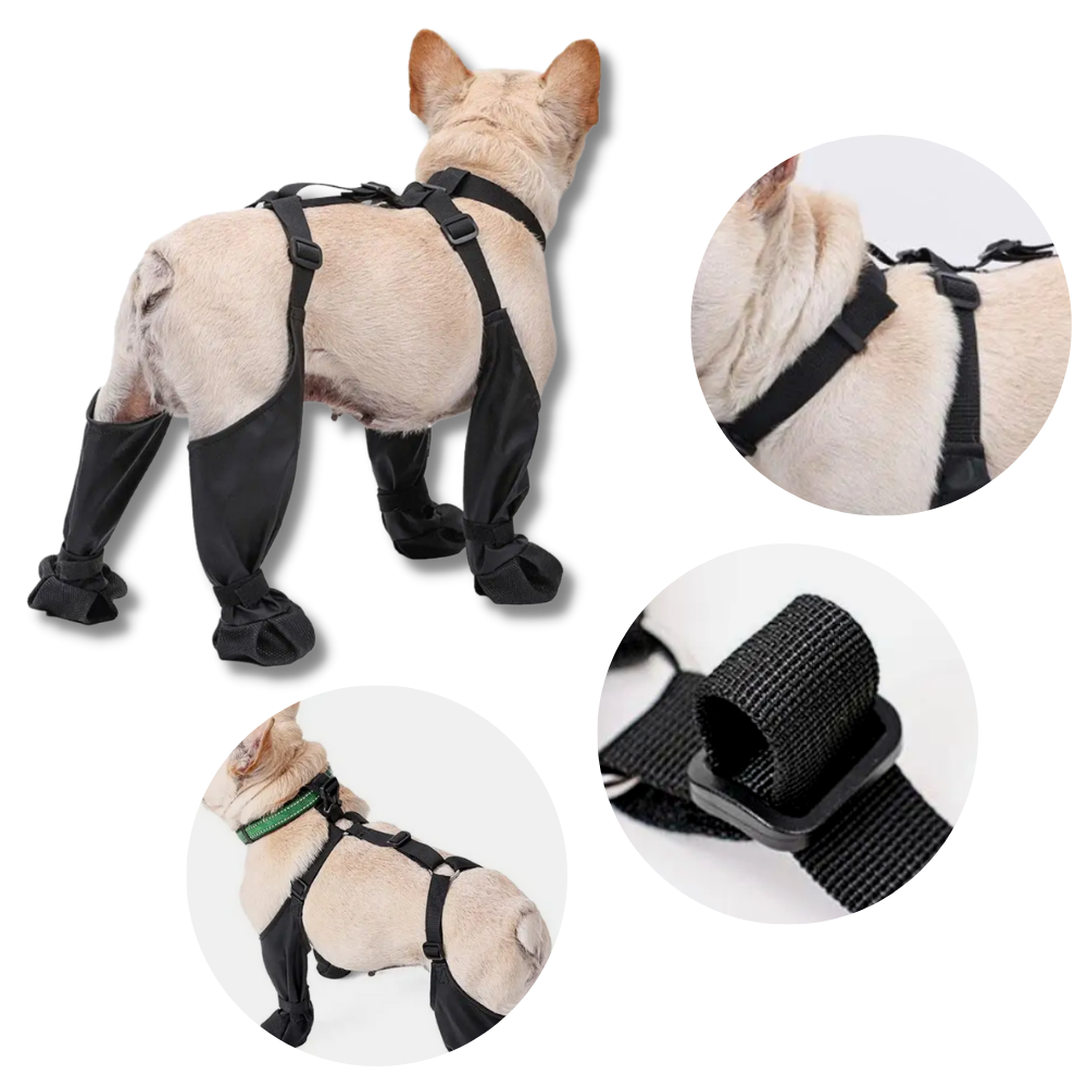 Bottes à bretelles imperméables pour chiens